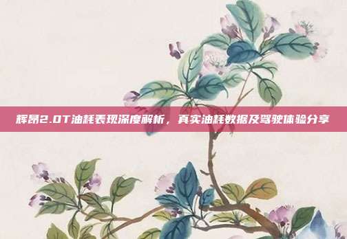 辉昂2.0T油耗表现深度解析，真实油耗数据及驾驶体验分享
