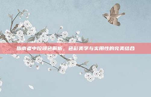 指南者中控颜色解析，色彩美学与实用性的完美结合