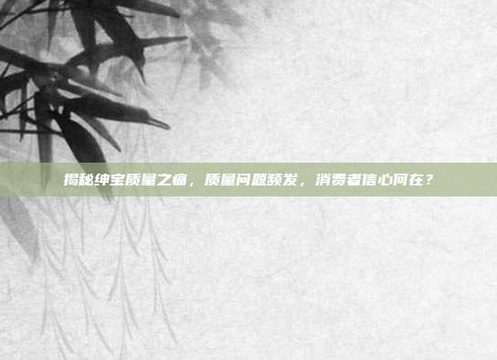 揭秘绅宝质量之痛，质量问题频发，消费者信心何在？
