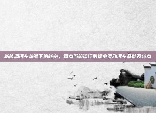 新能源汽车热潮下的新宠，盘点当前流行的插电混动汽车品种及特点