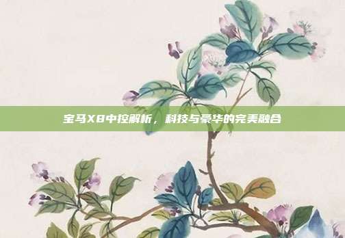 宝马X8中控解析，科技与豪华的完美融合