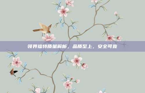 领界福特质量解析，品质至上，安全可靠