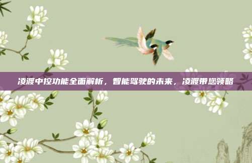 凌渡中控功能全面解析，智能驾驶的未来，凌渡带您领略