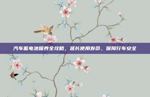 汽车蓄电池保养全攻略，延长使用寿命，保障行车安全