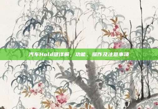汽车Hold键详解，功能、操作及注意事项