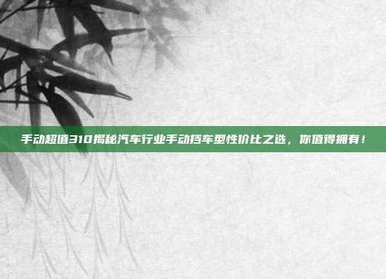手动超值310揭秘汽车行业手动挡车型性价比之选，你值得拥有！