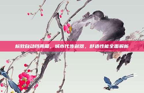 标致自动挡两厢，城市代步利器，舒适性能全面解析