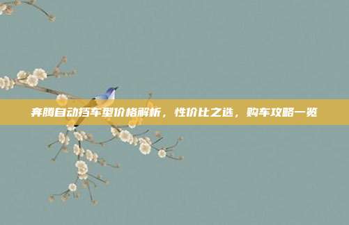 奔腾自动挡车型价格解析，性价比之选，购车攻略一览
