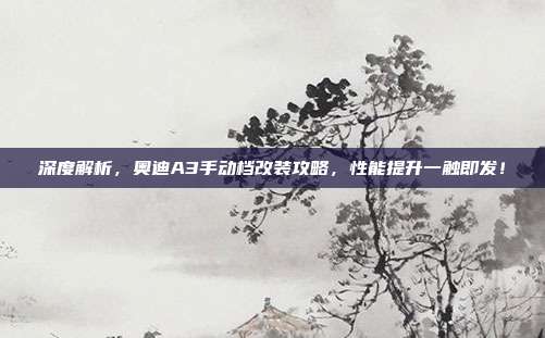深度解析，奥迪A3手动档改装攻略，性能提升一触即发！