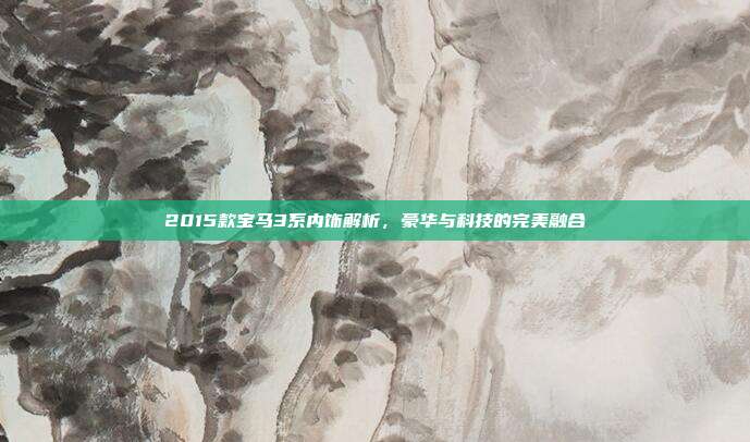 2015款宝马3系内饰解析，豪华与科技的完美融合