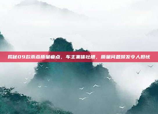 揭秘09款雨燕质量痛点，车主集体吐槽，质量问题频发令人担忧