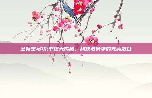 全新宝马1系中控大揭秘，科技与豪华的完美融合