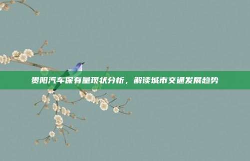 贵阳汽车保有量现状分析，解读城市交通发展趋势