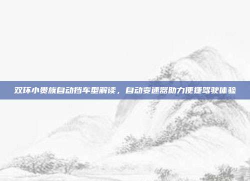 双环小贵族自动挡车型解读，自动变速器助力便捷驾驶体验