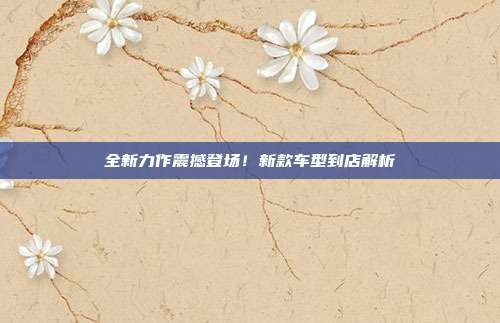 全新力作震撼登场！新款车型到店解析