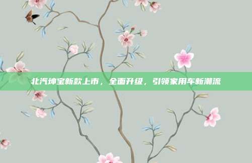 北汽坤宝新款上市，全面升级，引领家用车新潮流
