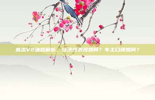 威志V2油耗解析，经济性表现如何？车主口碑如何？