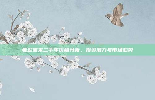 老款宝来二手车价格分析，投资潜力与市场趋势