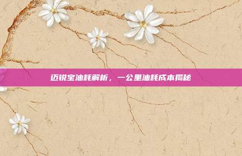 迈锐宝油耗解析，一公里油耗成本揭秘
