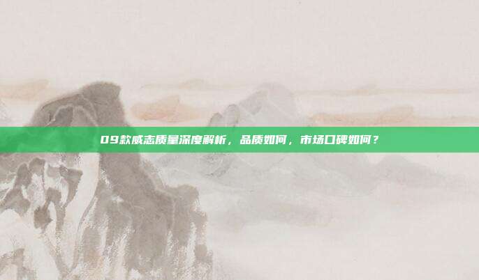 09款威志质量深度解析，品质如何，市场口碑如何？