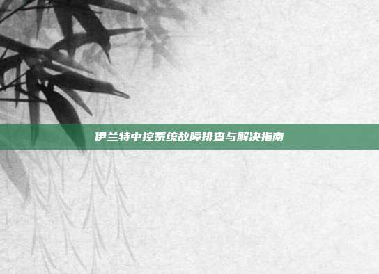 伊兰特中控系统故障排查与解决指南