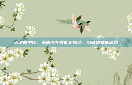 天之眼中控，未来汽车智能化核心，引领驾驶新体验