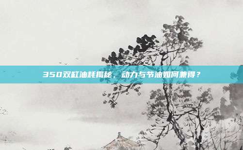 350双缸油耗揭秘，动力与节油如何兼得？