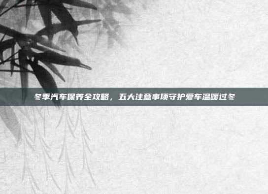 冬季汽车保养全攻略，五大注意事项守护爱车温暖过冬
