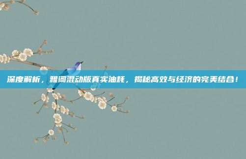 深度解析，雅阁混动版真实油耗，揭秘高效与经济的完美结合！