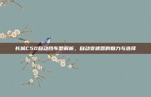 长城C50自动挡车型解析，自动变速器的魅力与选择