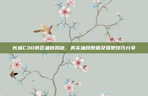 长城C30市区油耗揭秘，真实油耗数据及驾驶技巧分享