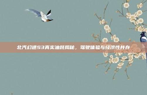 北汽幻速S3真实油耗揭秘，驾驶体验与经济性并存