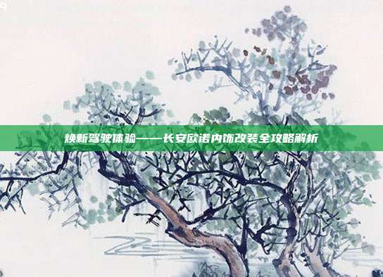 焕新驾驶体验——长安欧诺内饰改装全攻略解析