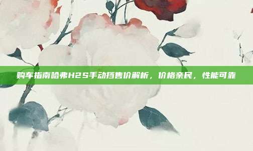 购车指南哈弗H2S手动挡售价解析，价格亲民，性能可靠