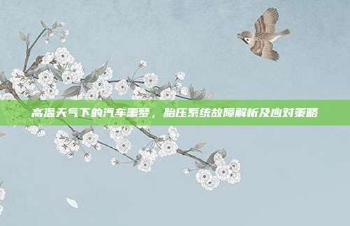 高温天气下的汽车噩梦，胎压系统故障解析及应对策略