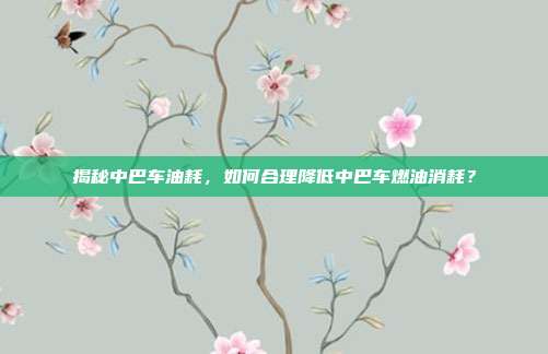 揭秘中巴车油耗，如何合理降低中巴车燃油消耗？