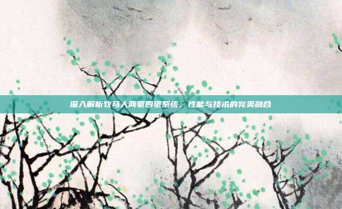 深入解析牧马人两驱四驱系统，性能与技术的完美融合