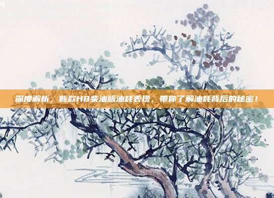 深度解析，新款H8柴油版油耗表现，带你了解油耗背后的秘密！