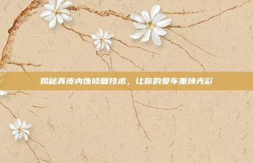 揭秘真皮内饰修复技术，让你的爱车重焕光彩