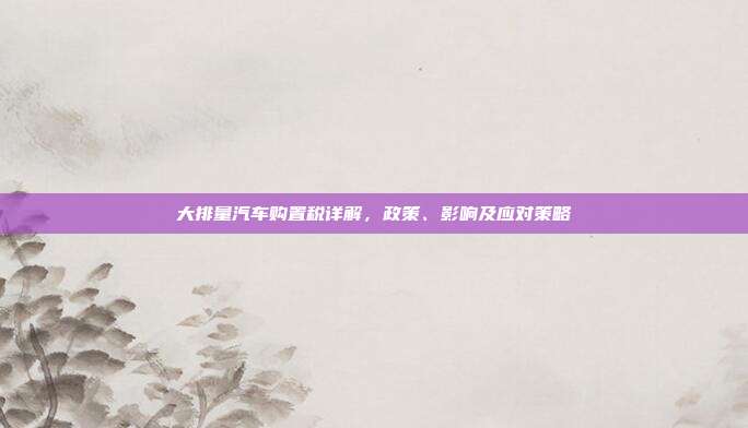 大排量汽车购置税详解，政策、影响及应对策略