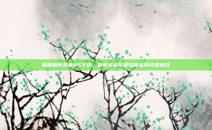 深度解析奥迪A4手动，驾驶乐趣与操控体验的完美结合