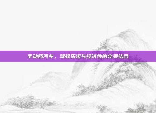 手动挡汽车，驾驭乐趣与经济性的完美结合