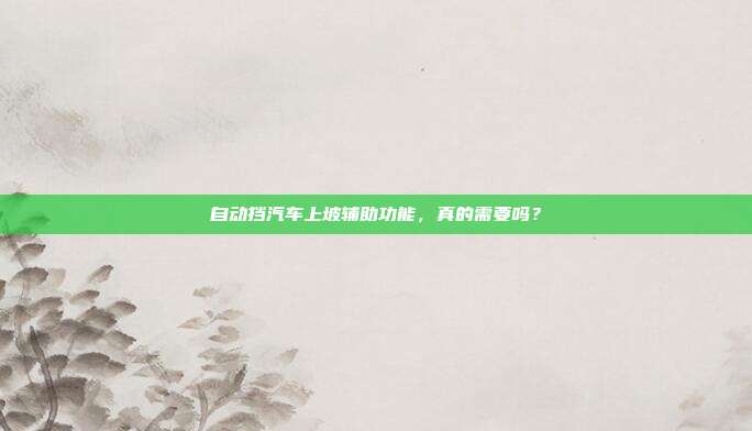自动挡汽车上坡辅助功能，真的需要吗？