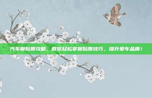 汽车膜贴膜攻略，教你轻松掌握贴膜技巧，提升爱车品质！