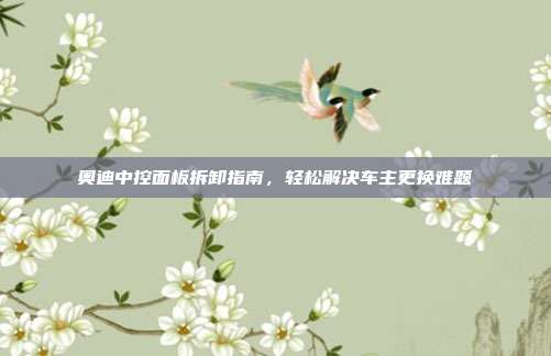 奥迪中控面板拆卸指南，轻松解决车主更换难题