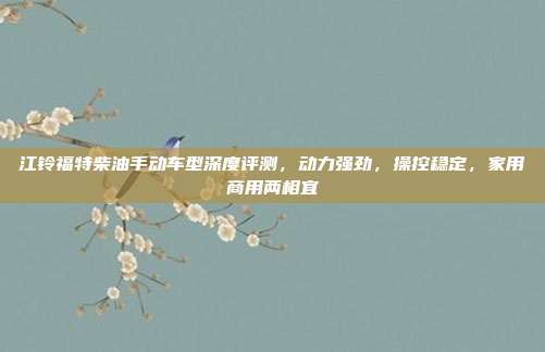 江铃福特柴油手动车型深度评测，动力强劲，操控稳定，家用商用两相宜
