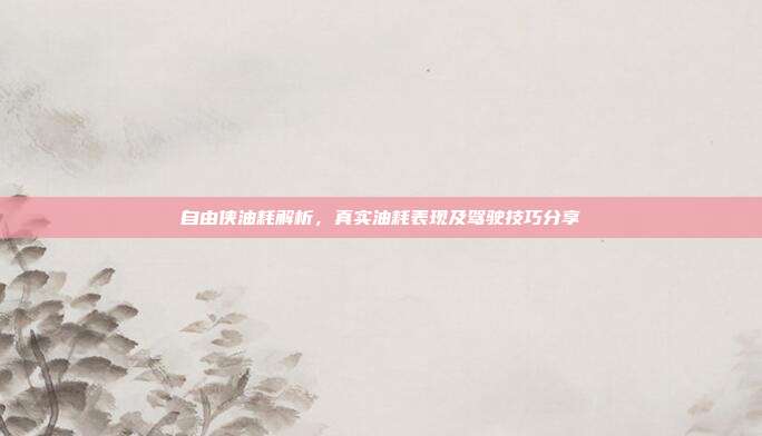 自由侠油耗解析，真实油耗表现及驾驶技巧分享