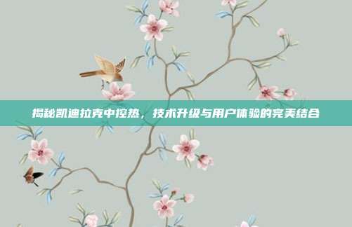 揭秘凯迪拉克中控热，技术升级与用户体验的完美结合