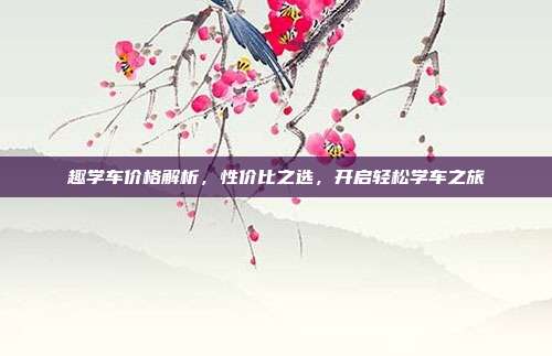 趣学车价格解析，性价比之选，开启轻松学车之旅