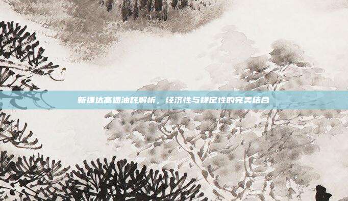 新捷达高速油耗解析，经济性与稳定性的完美结合